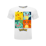 Starter di Kanto